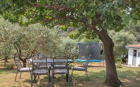 Apartman Olea